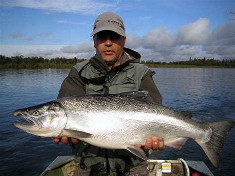 Alaska Fly Fishing ⋆ Live Your Dream Of Alaska Fly Fishing