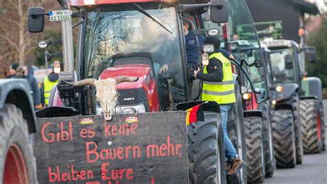 Bauernproteste Verband F R Ko Landwirte Ruft Zur M Igung Auf Stern De