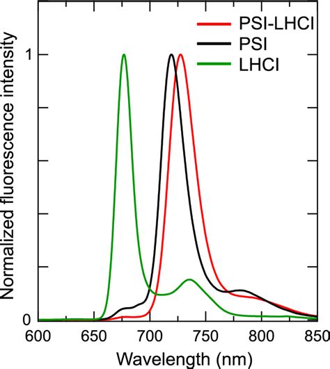 Fluorescence Emission Spectra Of Psi Lhci Psi And Lhci The Download Scientific Diagram