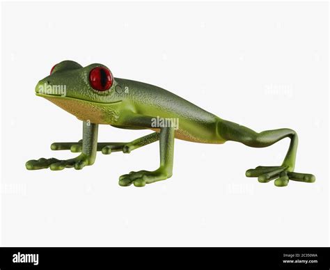 Green frog side view on white background 3d rendering Stock Photo - Alamy