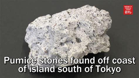 Pumice Stones Found Off Coast Of Torishima South Of Tokyo Nippon Tv