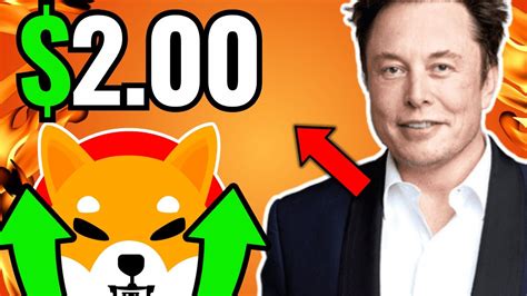 Shiba Inu Elon Musk At It Again Huge Drama Shakes Shib Entire Supply