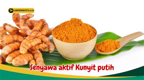 30 Manfaat Kunyit Putih Untuk Kesehatan Tubuh Birds N Bees