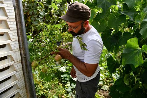 Le début des vendanges la compo de l USON Nevers à Agen L actu à