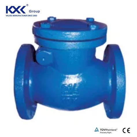 Din Standard Dn Pn Ductile Iron Non Return Swing Check Valve