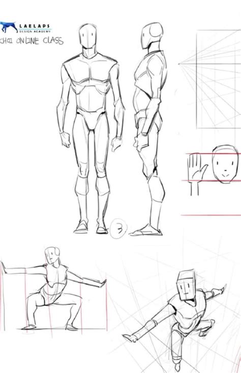 Anatomy Drawing Practice Human Anatomy Drawing Human Figure Drawing Figure Drawing Reference