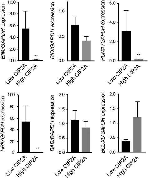 High Cip2a Expression Levels Correlate With An Antiapoptotic Phenotype