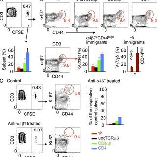 T Cell Subset Distribution And Phenotype Of Tdl Derived Si Ep