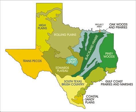 Texas Natural Regions Map