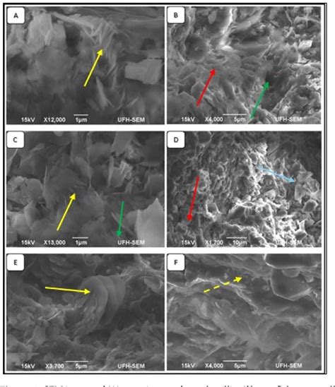 Figure From The Effect Of Diagenetic Minerals On The Petrophysical