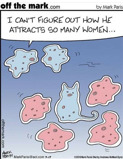 Amoeba Cat Off The Mark Fun Comics Cartoons Comics Funny Memes