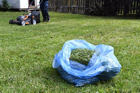 Bagging Mulching Grass Clippings Lawn Care Blog Lawn Love Atelier