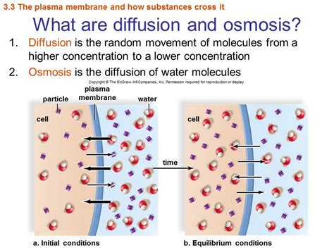 Lab Figures Dr Mackay S WEB PAGE