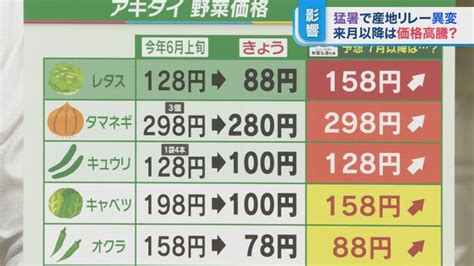 猛暑で野菜大打撃 価格高騰の可能性？鍵を握る野菜の “産地リレー”【ひるおび】 Tbs News Dig 6ページ