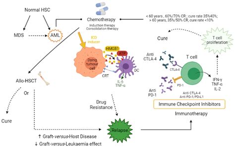 Onco Free Full Text The Role Of Immune Checkpoint Blockade In Acute