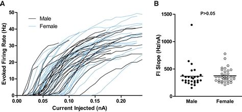 No Evidence For Sex Differences In The Electrophysiological Properties