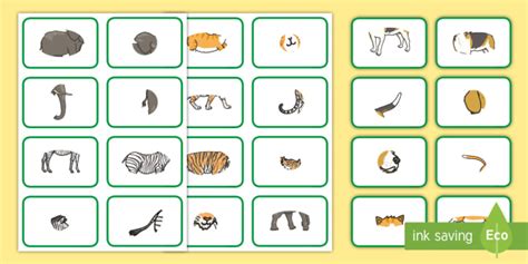 Clarissa055 Animal Classification Flashcards