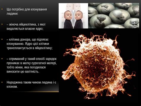 Клонування людини - online presentation