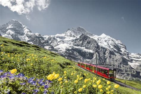 Wisata Ke Puncak Jungfraujoch Di Swiss Bisa Naik Gondola