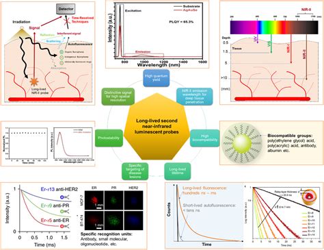 Longlived Second Nearinfrared Luminescent Probes An Emerging Role In