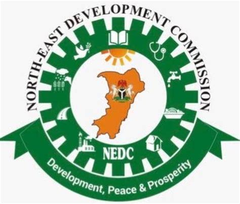 ₦36 Billion Nedc Fund As Relief Eludes Terror Victims Politics Nigeria