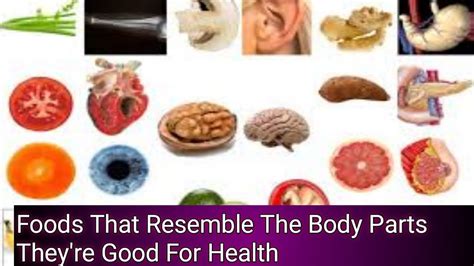 Foods That Resemble The Body Parts They Re Good For Health Uses Of Food