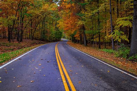 Discover The Best Places To See Finger Lakes Fall Foliage Each Year