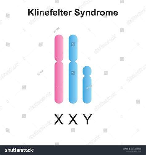 Xxyy Syndrome