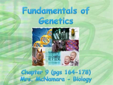 Ppt Fundamentals Of Genetics Powerpoint Presentation Free Download