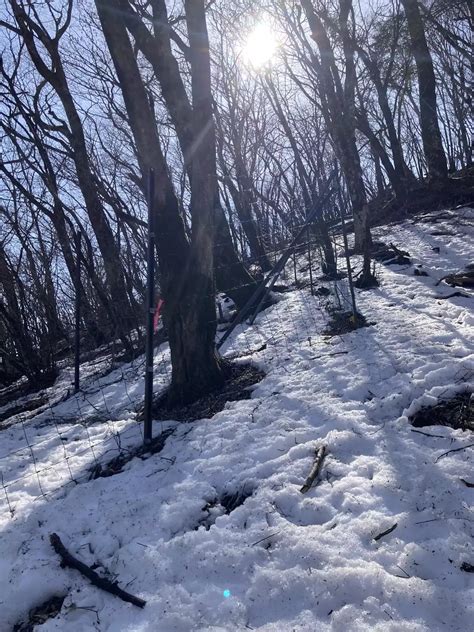 雪と春霞の鍋割山と塔ノ ひよどりさんの塔ノ岳・丹沢山・蛭ヶ岳の活動データ Yamap ヤマップ