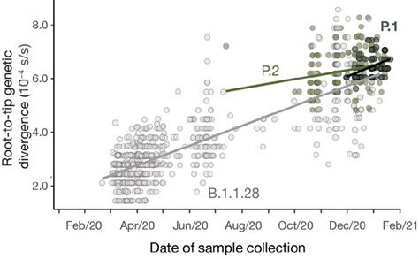 Fig S8 Regression Of Root To Tip Genetic Distances And Sampling Dates Download Scientific