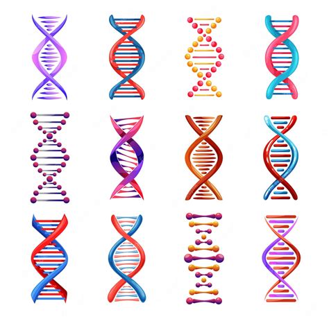 Premium Vector Dna Helix Icons Genetic Medicine Vector Signs Human