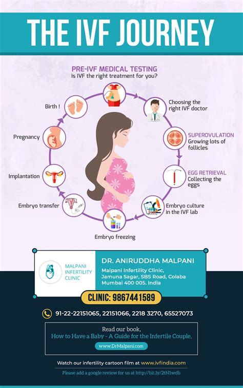 The Ivf Journey A Guide For Patients