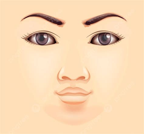 Human Face Cheek Look Head Vector Cheek Look Head Png And Vector