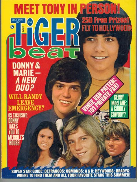 Tiger Beat July 1974 Vintage Teen Magazine Vfnnm Ebay