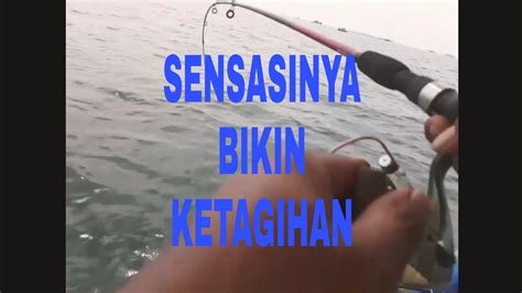 Pesta Strike Mancing Di Sekitaran Pulau Damar Kecil Lihat Fenomena