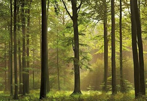 Slavic Landscapes: East European Forest Steppe (7)