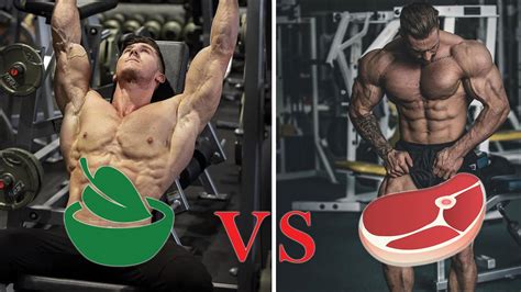 Vegan Body Builder Vs Meat Bodybuilder Game Youtube