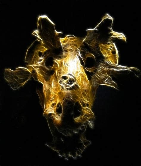 Fractal Skull Photograph By Brenda Nelson Fine Art America