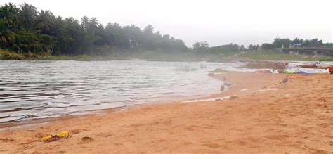 Amaravathi River Near Kolumam Temple - Udumalai Frog