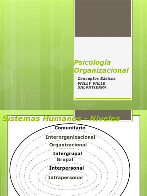 Psicolog Organizacional Pdf Comportamiento Organizacional Psicología Industrial Y