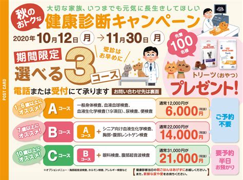 秋の健康診断のお知らせ｜動物病院をお探しなら、長岡京市にある乙訓どうぶつ病院へ