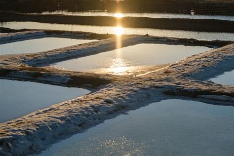 Visita guiada por las salinas del Alemán Isla Cristina