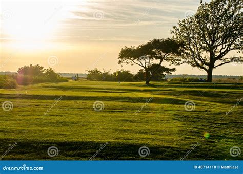 Golf Course In Sunset Stock Photo Image Of Perfect Lifestyle