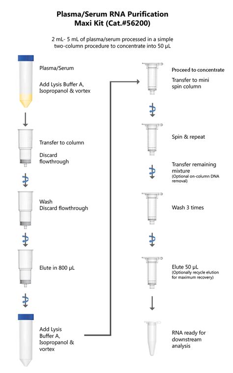 Lysis Buffer Recipe For Rna Extraction Besto Blog