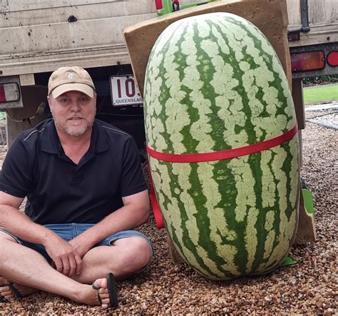 Heaviest Watermelon Australian Book Of Records