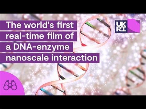 First Ever Real Time Film Of Dna Enzyme Interaction Youtube