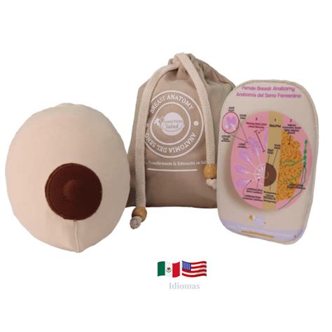 Kit Educativo Lactancia Materna Básico Didáctico Salud Kits