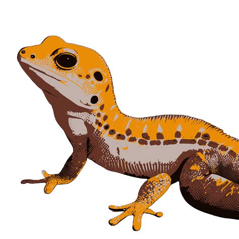 Lizard Gecko Illustration Artwork Vector Graphic Cute Geckos