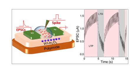 Solution Processed Electrolyte Gated In2O3 Flexible Synaptic